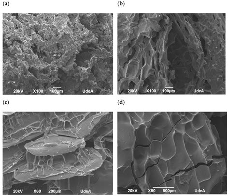 Use of Plant Proteins as Microencapsulating Agents of Bioactive ...