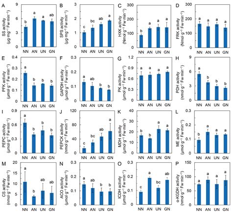 Nitrogen Sources Reprogram Carbon and Nitrogen Metabolism to Promote ...