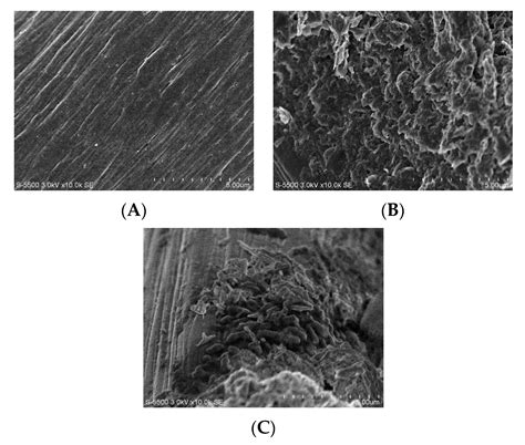 Improvement of Power Density and COD Removal in a Sediment Microbial ...