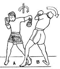 Boxing Styles 的图像结果