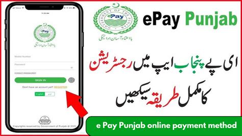 What is Punjab E-Auction?