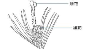 Image result for Machine Learning Model Training Drawing