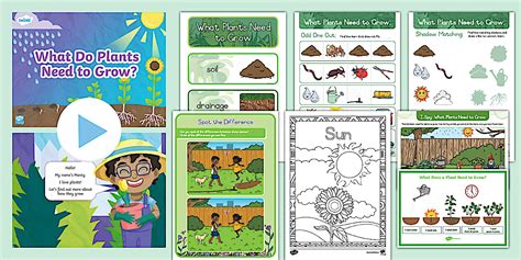 Life Skills - Resource Pack: What Plants Need to Grow
