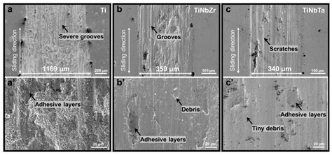Stepwise Laser Cladding of TiNbZr and TiTaZr Medium-Entropy Alloys on ...