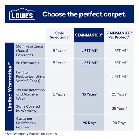 STAINMASTER (Sample) Durable Step I Rain Dance Gray 34.3-oz sq yard ...