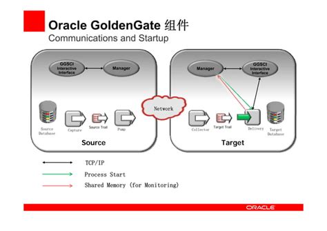 Image result for Oracle Golden Gate Tutorial