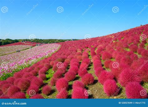 Image result for Pattern Finding with Unsupervised Learning Telecom