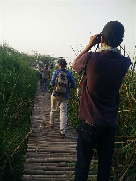 Here are some attractive species spotted at Delhi’s first summer bird count