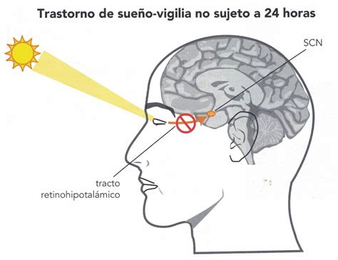 Trastornos del sueño, de la vigilia y su tratamiento