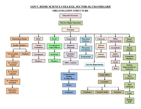 Organisation Structure