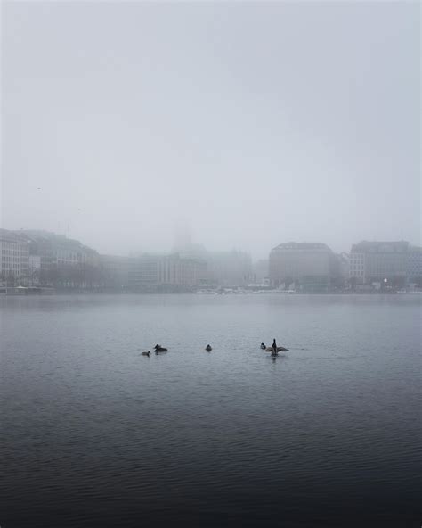 Soccer Wallpaper 4K 的图像结果