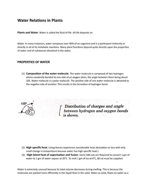 Water relations in plants - Water Relations in Plants Plants and Water ...