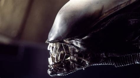 Alien Xenomorph Evolution 的图像结果