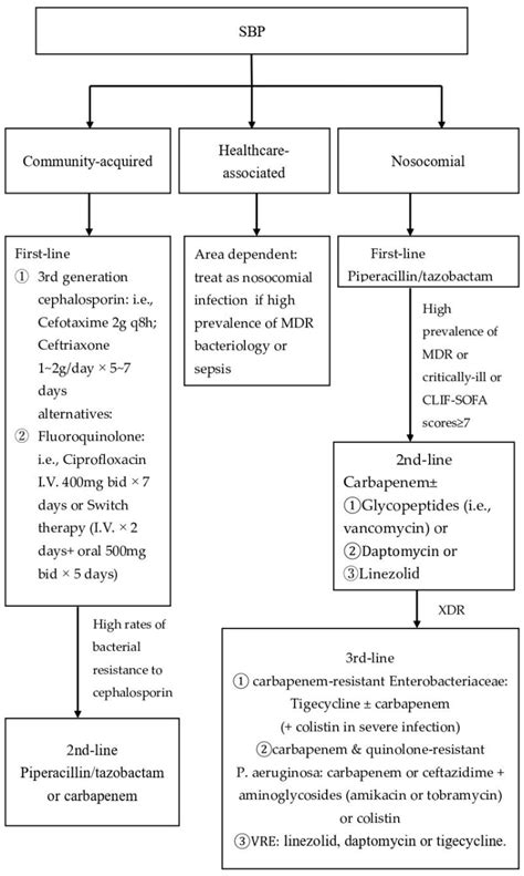 Spontaneous Bacterial Peritonitis in Decompensated Liver Cirrhosis—A ...