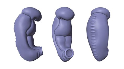 Image result for Third Week of Embryonic Development