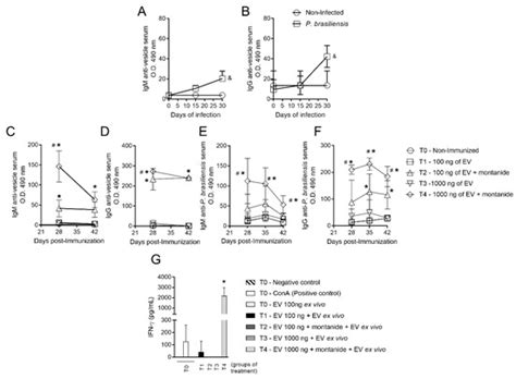 Protective Response in Experimental Paracoccidioidomycosis Elicited by ...