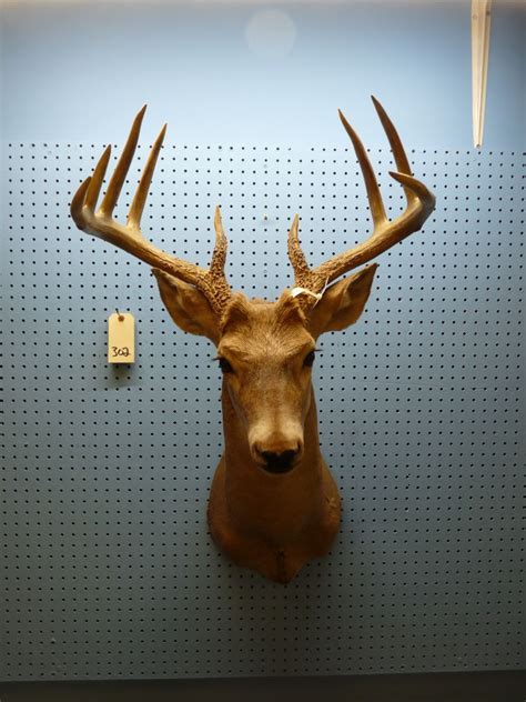 MOUNTED DEER HEAD