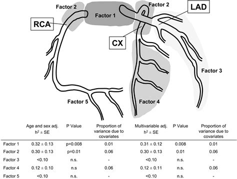 Distinct Heritable Patterns of Angiographic Coronary Artery Disease in ...