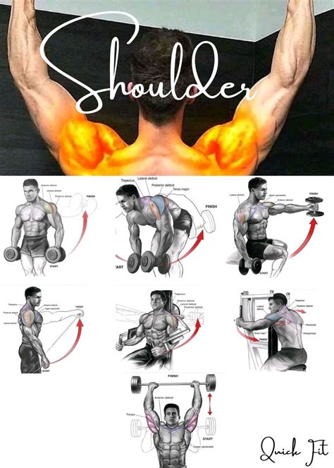 10 of the best deltoid exercises to build your shoulders – Artofit