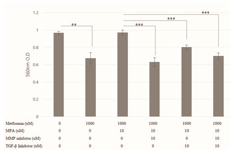 Medroxyprogesterone Reverses Tolerable Dose Metformin-Induced ...
