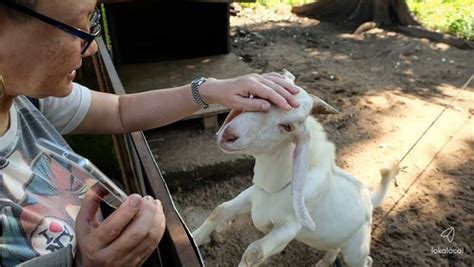 LokaLocal (Bekok) - 2022 What to Know Before You Go (with Photos ...