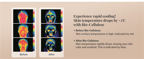 Detox Bio Cellulose Sheet Mask for Hydrated, Bright & Glowing Skin ...