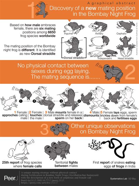 A unique mating strategy without physical contact during fertilization ...