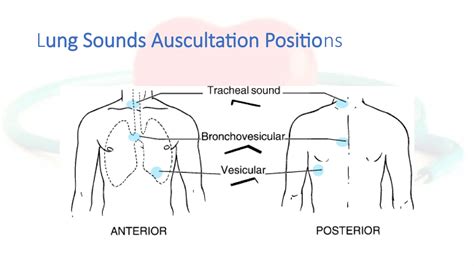 Auscultation of lung and heart sounds.pptx