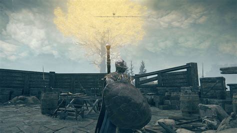 Image result for Great Turtle Shell