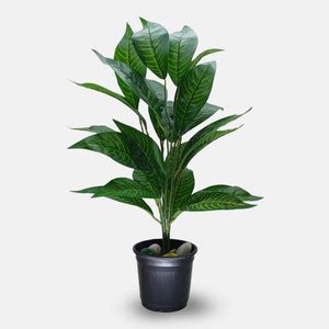 VIVARS CRAFT Artificial Green Iceton Croton Plant Wild Artificial Plant ...