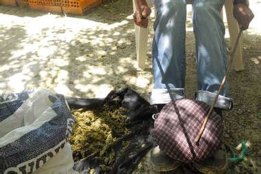 Image result for Moroccan Hash Making
