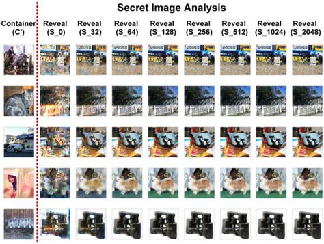 Adversarial Attack for Deep Steganography Based on Surrogate Training ...