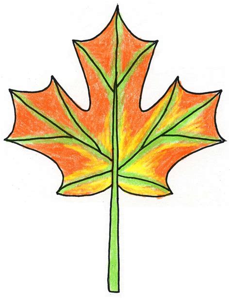 Autumn Leaf Drawing
