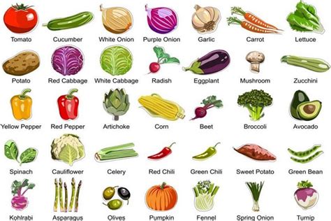 蔬菜名称大全列表（常见的蔬菜名称一览表） - 木鱼号