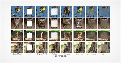 Image result for Machine Unlearning Introduction Images