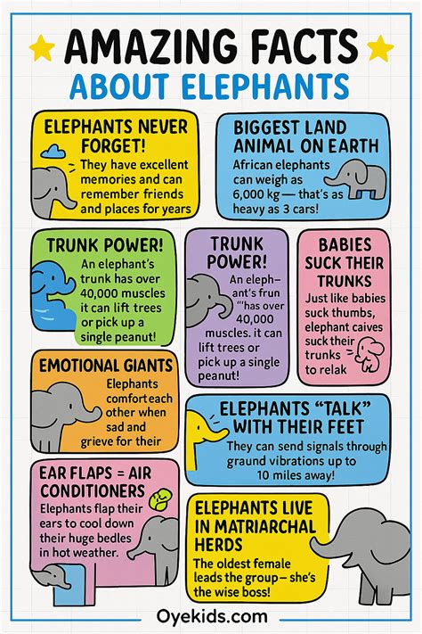 Amazing Elephant Facts for Kids – Gentle Giants! | Fun facts, Elephant ...