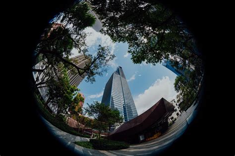 Complete Guide to the Fisheye Lens And How It Works - Photography Project
