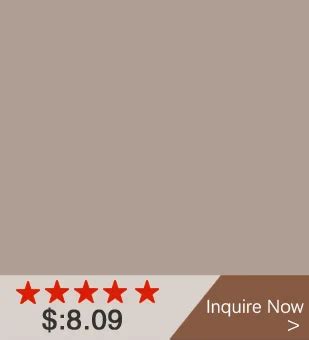 Company Overview - Dongguan Style-Vibes Tech Co., Ltd.