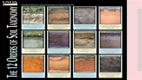 Soil Classification 的图像结果