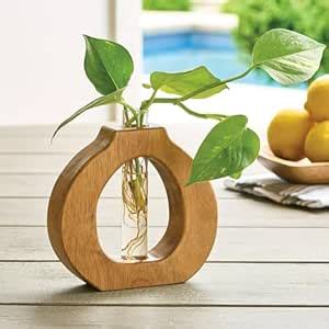 KKBM Hanging Plant Propagation Stations Rustic Wall & Table Top Planter ...