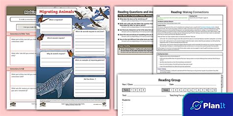 Years 5-6 Reading: The Birds of Flanders Fields Lesson 2
