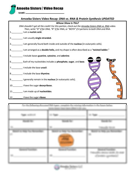 Protein Synthesis Picture at Blanche Howard blog