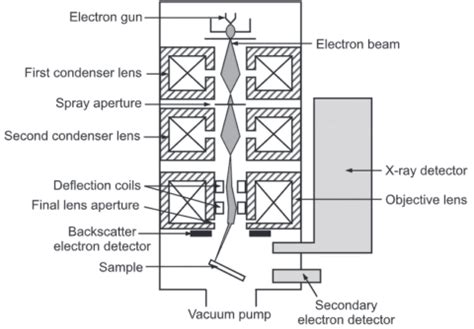 Scanning Electron Microscope Cell 的图像结果