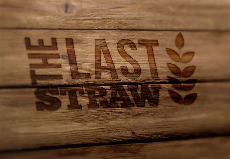 Brand Development Examples 的图像结果