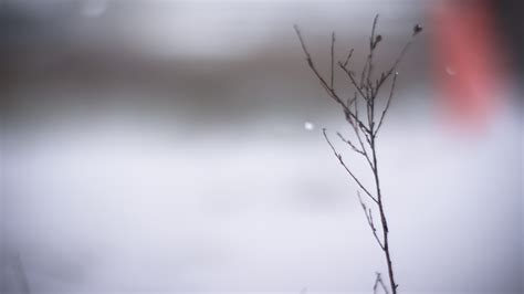 Wallpaper : new, city, winter, cold, nature, weather, Canon, newjersey, Nikon, bokeh, Atlantic ...