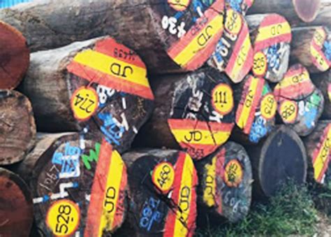 Services - JD Wood Company - JD Wood Company in Nagercoil | JD Wood ...