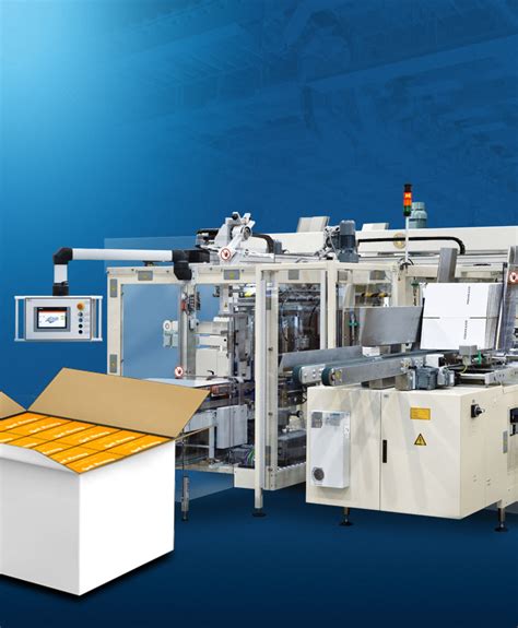 Rezultat imagine pentru Case Packer Types