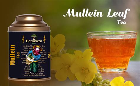 Botanical Sage Mullein Tea 100 Gram (2 Months Pack) | Loose Leaves For ...