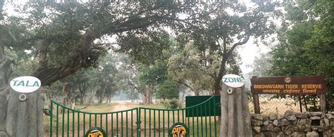 Bandhavgarh National Park, Bandhavgarh Booking Portal Online