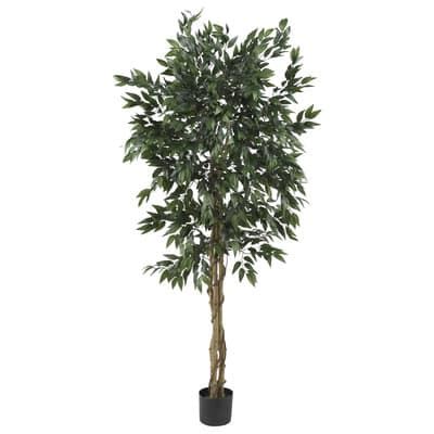 5ft. Potted Smilax Tree | Michaels